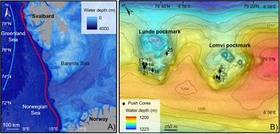 Benthic Foraminifera in Arctic Methane Hydrate Bearing Sediments